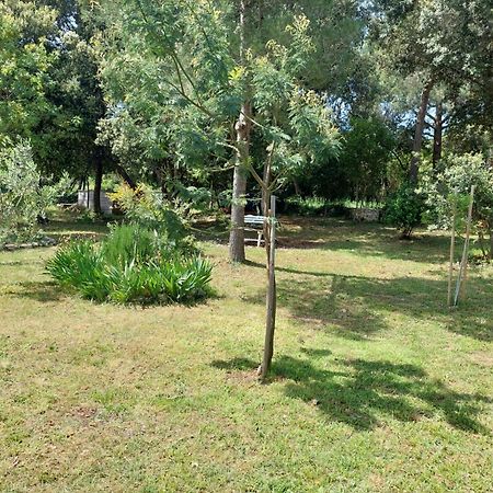 Sweet Apartment Rovinj Bagian luar foto